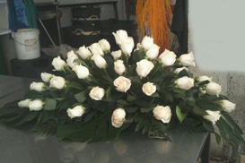 Flores 3